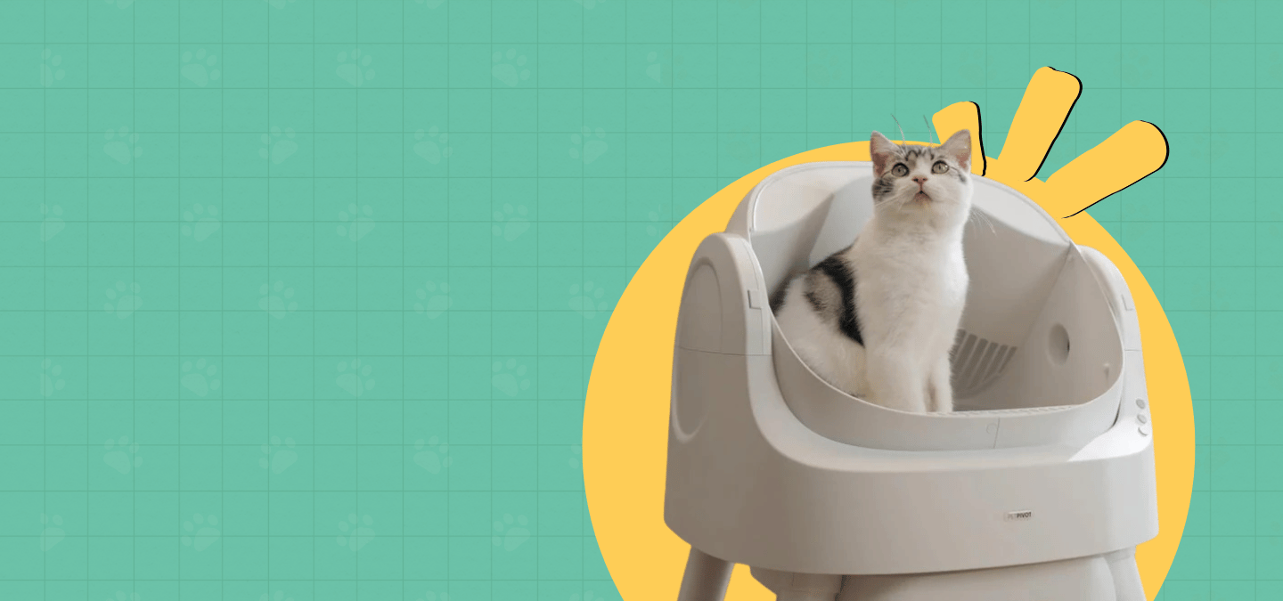 slider image 1621243260e1af0c20-1