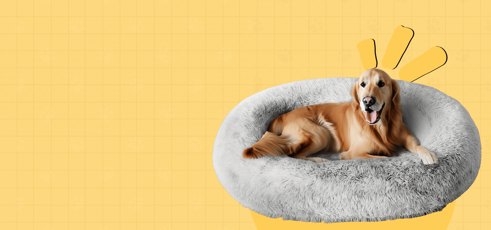 slider image 1621243260e1af0c20-0